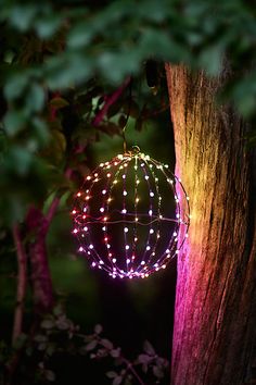 a light ball hanging from the side of a tree