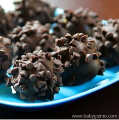 chocolate covered donuts are on a blue plate