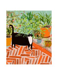 a black and white cat standing in front of potted plants