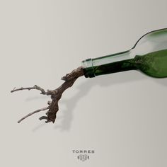 a tree branch sticking out of a green bottle filled with water and wine is floating in the air