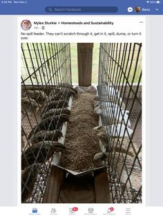 a bird cage filled with lots of birds in it's habitat, and the caption says