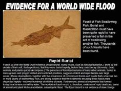 the evidence for a world wide flood is shown in this article about what it looks like