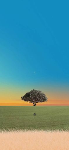 a lone tree stands in the middle of a grassy field with an orange and blue sky