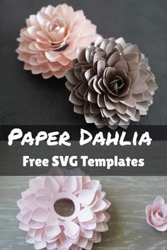 paper dahlia flowers with text overlay that says free svg templates for crafts