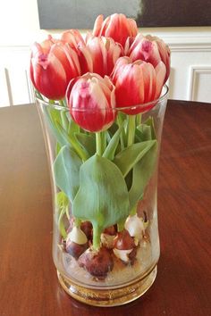 a vase filled with red flowers on top of a wooden table