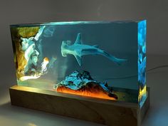 an aquarium with two sharks and corals in it's display case on a white surface