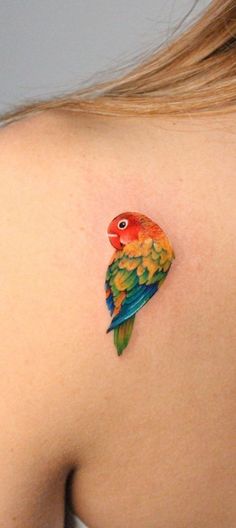 Tattoo Inspiration For Girls Eclectus Parrot Tattoo, Cute Parrot Tattoo, Parrotlet Tattoo, Tiny Parrot Tattoo, Parrot Tattoos For Women, Fineline Color Tattoo, Rainbow Lorikeet Tattoo, Red Hummingbird Tattoo, Budgie Tattoo Simple