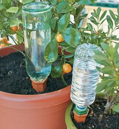 there are two plastic bottles in the planters