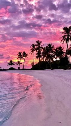 a beach with palm trees and water at sunset