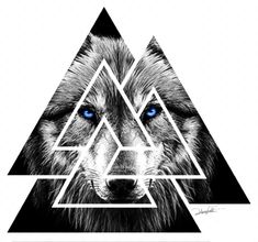 a wolf with blue eyes is shown in the shape of a triangle, which has been drawn