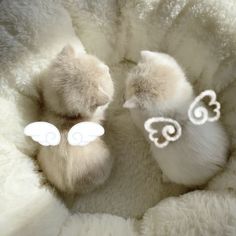 two baby birds are sitting in a fluffy white blanket with angel wings on their feet