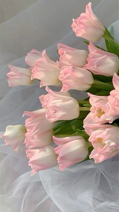 a bouquet of pink tulips on a white background