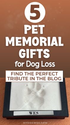 a dog's paw in the sand with text that reads, 5 pet memorial gifts for