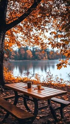 two cups of coffee sit on a picnic table in front of a lake surrounded by autumn leaves