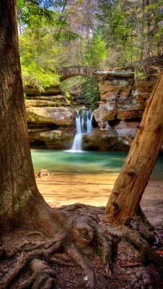 a small waterfall in the middle of a forest