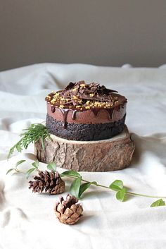 a chocolate cake sitting on top of a wooden slab next to pine cones and greenery