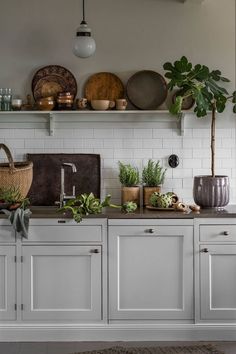 a kitchen with white cabinets and plants on the counter top, along with potted plants