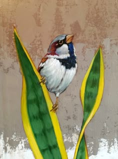 a painting of a bird sitting on top of a plant