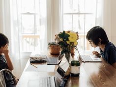 two young boys sitting at a table with laptops and flowers in front of them