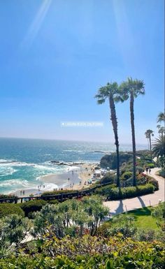 the beach is next to some palm trees