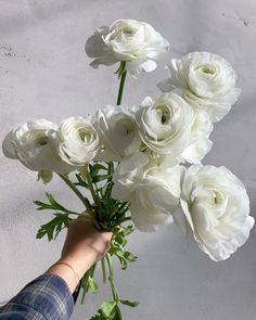 a person holding a bunch of white flowers in their hand with the stems still attached