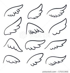 wings drawn in black and white on a white background 47916682