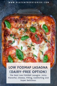 Low Fodmap Italian Recipes, Low Fodmap Lasagna, Lasagna Gluten Free, Traditional Lasagna Recipe, Fodmap Dinner, Low Fodmap Recipes Dinner, Fodmap Food