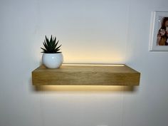 a potted plant sitting on top of a wooden shelf next to a white wall