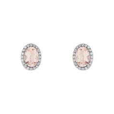 A Halo Of Twinkling Diamonds Surrounds A Faceted Morganite In This Enchanting Pair Of 14k White Gold Earrings. They Are Finished With A Friction Back Post And Measure Approximately 7mm (1/4 Inch) In Width By 9mm (3/8 Inch) In Length. The 7 X 5mm Genuine Morganite Stones Have A Combined Weight Of 1.5 Carats. The Forty Round Diamonds Are 1mm In Size, I1 In Clarity And G-I In Color With A Total Weight Of 1/5 Carat. The Color Range Varies On All Natural Stones So Please Allow For Slight Variations I Halo Stud Earrings, Gold Beauty, Morganite Diamond, Halo Earrings, Pearl And Diamond Earrings, Halo Earrings Studs, Bow Jewelry, Gold Bracelet For Women, Sparkle Earrings