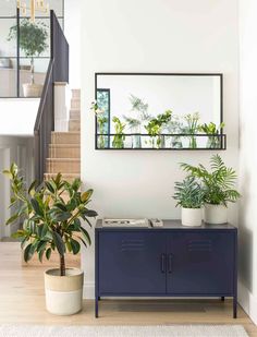 a blue cabinet with plants and a mirror on the wall in a white living room