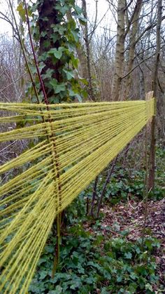 a yellow net hanging from a tree in the woods