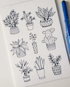 a drawing of potted plants on a piece of paper next to a blue marker