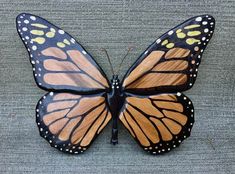 a close up of a butterfly on a surface