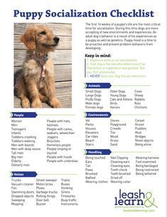 the puppy socialization checklist is shown in this brochure, with an image of a dog on it