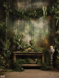 Enchanted Garden Photography Backdrop - Rustic garden scene with lush greenery Video Backdrop Ideas, Foliage Photo Backdrop, Cheesecloth Backdrop, Enchanted Forest Theme Photo Backdrop, Enchanted Forest Photo Booth, Enchanted Garden Backdrop, Plant Backdrop Photoshoot, Enchanted Fairy Garden Party Decoration, Natural Light Studio Photography