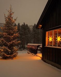 a lit up christmas tree in front of a cabin at night with snow on the ground