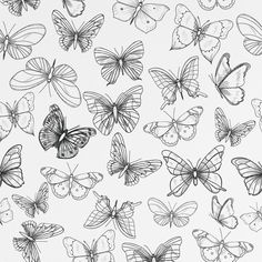 Butterfly Color Book pattern DW/E White Aesthetic Prints, Black And White Simple Wallpaper, Colorful Butterflies Wallpaper, White Butterfly Aesthetic, Cute White Wallpaper, White Aesthetic Background, Aesthetic White Background, White And Black Wallpaper, White Widgets