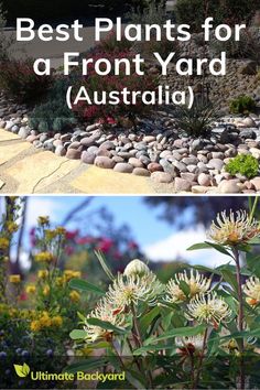 two pictures with the words best plants for a front yard australia