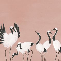 four white and black birds standing next to each other on a pink background with one bird flying in the air