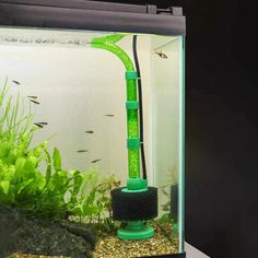 an aquarium filled with green plants and water in front of a white wall, next to a black rock