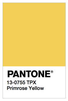 the pantone color is shown in black and white, with an extra - dark hue