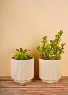 two potted plants sitting on top of a wooden table