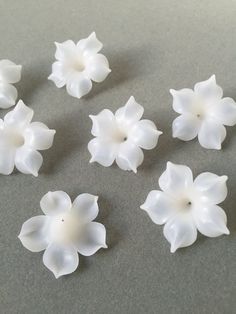 small white flowers on a gray surface