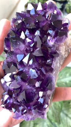 Crystal Home Decor, Room Needs, Spiritual Crystals, Crystal Magic, Purple Love, Amethyst Cluster