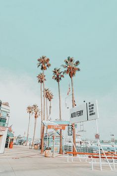 palm trees line the beach in front of an auto ferry sign and storefronts