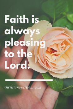 a hand holding a pink rose with the words faith is always pleasing to the lord