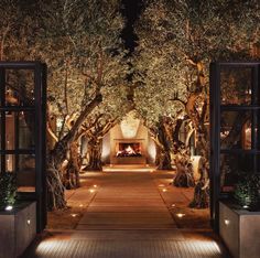 an outdoor fireplace surrounded by trees and lights at night in the middle of a walkway