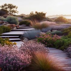 a wooden walkway surrounded by lots of flowers and plants on the side of a hill