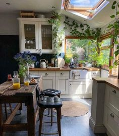 a kitchen filled with lots of counter top space and plants on the windows sill