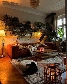 a living room filled with furniture and lots of plants